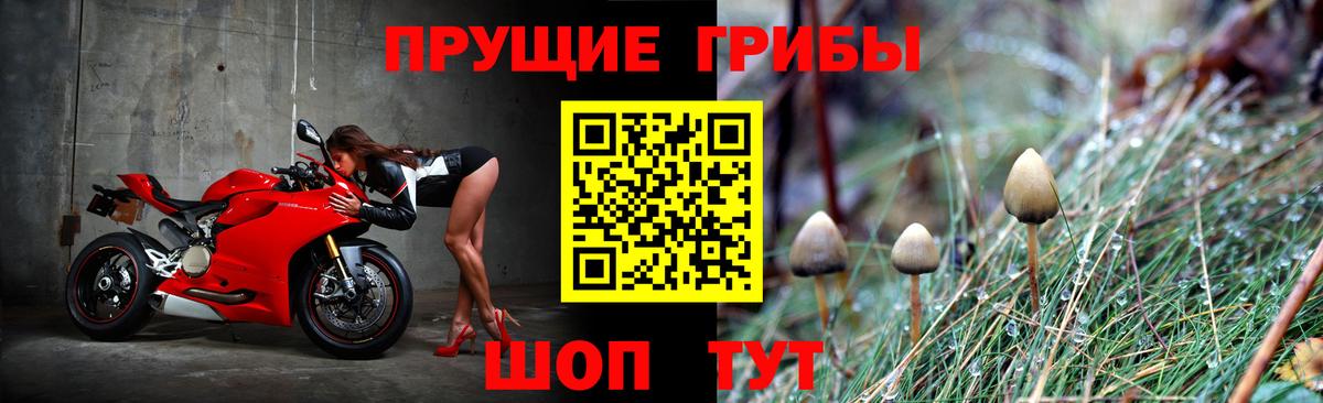Шелехов  Псилоцибиновые грибы мухоморы  Вход с VPN 